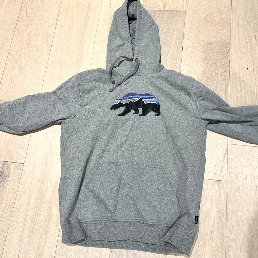 PATAGONIA HOODIE LIKE NEW.